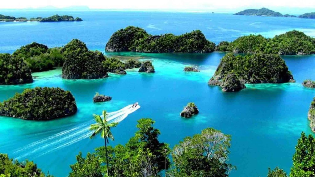 Raja Ampat adalah pulau di Indonesia yang harus Anda kunjungi untuk keindahan bawah laut